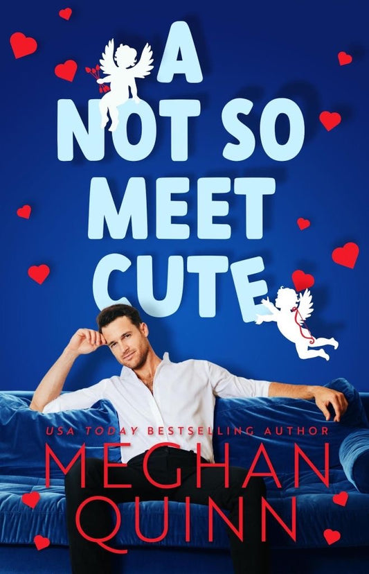 A Not So Meet Cute - Meghan Quinn